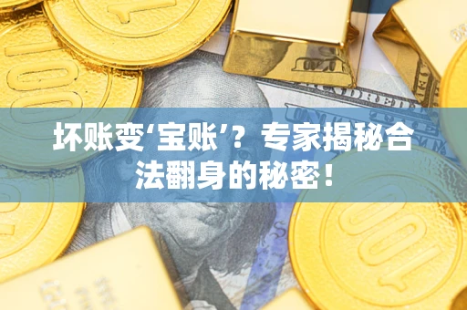 济南坏账变‘宝账’？专家揭秘合法翻身的秘密！