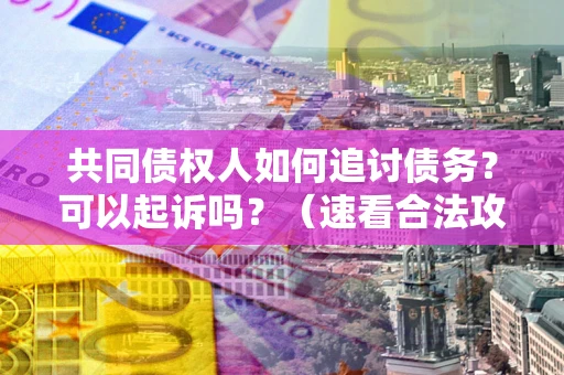 济南共同债权人如何追讨债务？可以起诉吗？（速看合法攻略）