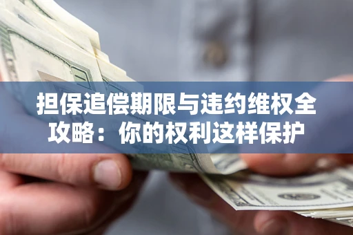济南担保追偿期限与违约维权全攻略：你的权利这样保护